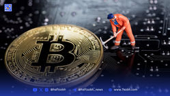 ماینرهای بیت‌کوین در ماه مه بالاترین درآمد پس از هاوینگ را کسب کردند