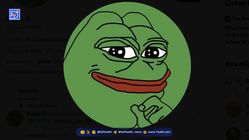 رشد چشمگیر PEPE؛ پیشتازی در بازار میم‌کوین‌ها با تجمع نهنگ‌ها