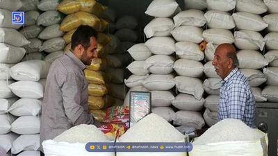 جدیدترین خبر درباره واردات برنج را بخوانید
