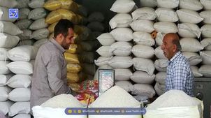 خبر مهم درباره برنج تنظیم بازار اعلام شد؛ ۱۲ آبان