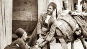 رازپنهانی  ثروت تهرانی‌ها؛ ماجرای عجیب الاغ و قاطر 