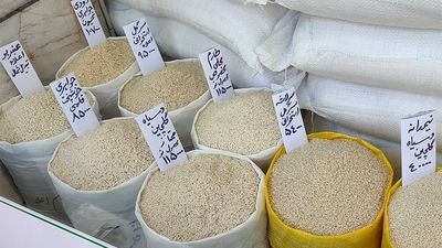 قیمت انواع برنج در بازار اعلام شد