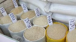 اعلام قیمت رسمی برنج در بازار؛ نرخ در بازار خارجی کاهش یافت 