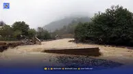 ماجرای سیل رودخانه داراب| سیلابی که از جنگل آمد  