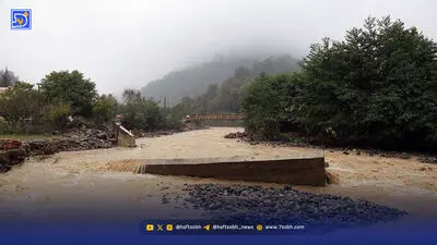 نرها زیاد شدند؛ گوزن‌ها به جان هم افتادند