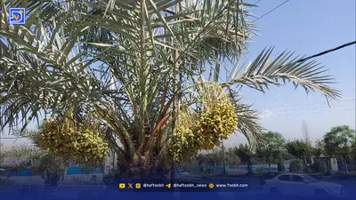 حریم ۶۰ متری دریا، چالش تازه آشوراده