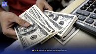 دولت جلوی بخشودگی متخلفان ارزی را گرفت