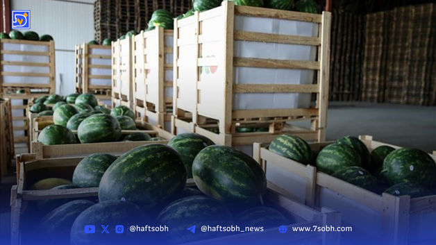 جنجال هندوانه ایرانی در روسیه 