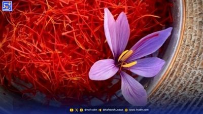 زعفران یا طلای سرخ؟ خریداران به بستههای کوچکتر روی میآورند