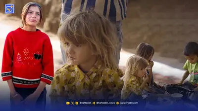 قاب امروز | جنجال مهرداد صدیقیان و فاطمه مسعودی‌فر