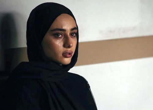 مسیر رشد ترلان پروانه در قاب تصویر