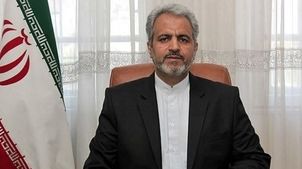 بازگشت با عزت؛ مهاجران افغان با احترام و برنامه‌ریزی به وطن بازمی‌گردند