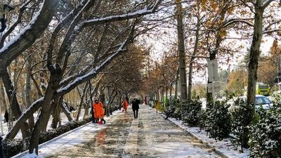 تصادفات بامدادی نگران‌کننده شد آماده‌باش هلال احمر و بیمارستان‌ها