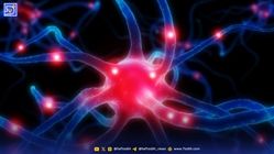 چگونه هورمون‌ها ذهن را کنترل می‌کنند