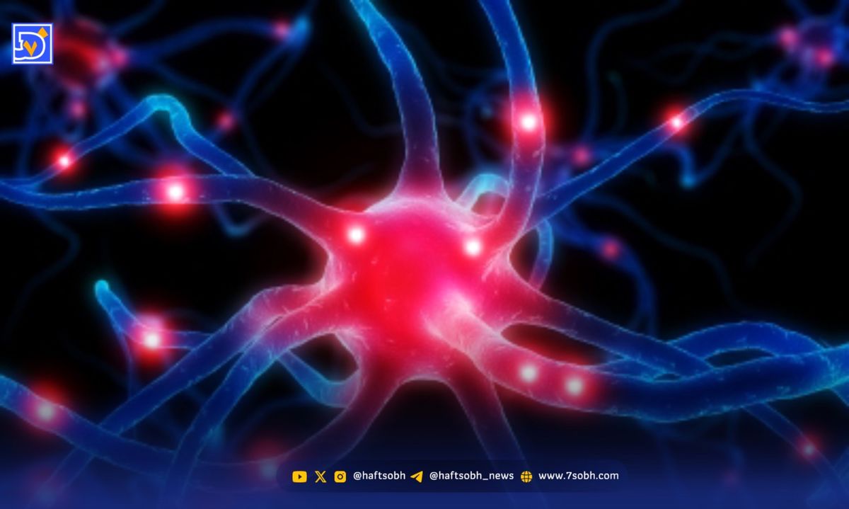 چگونه هورمونها ذهن را کنترل میکنند