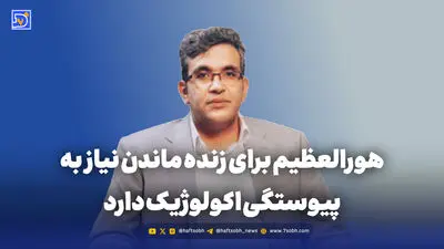 میدان نفتی سهراب؛ مرگ هور به خاطر چند بشکه نفت بیشتر