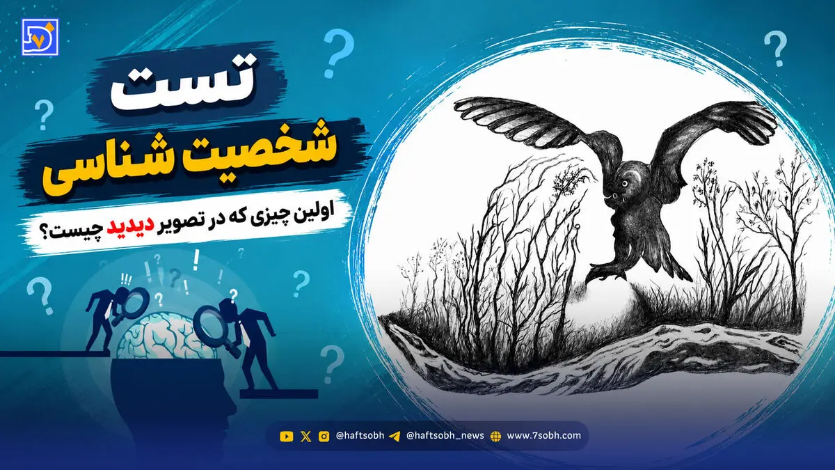 شخصیت شناسی | اولین چیزی که در تصویر می بینید ویژگی های اخلاقی شما را مشخص می کند