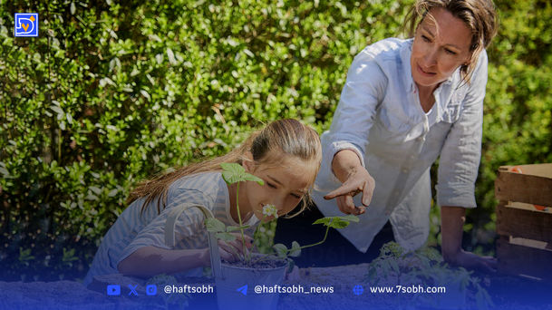 مقاومت را در گلدان بکار