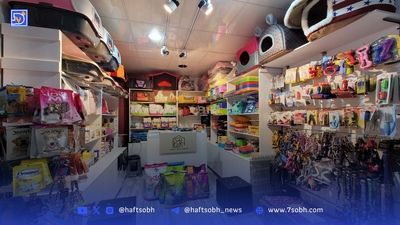 عجیب ترین حیوانات خانگی در 100 سال گذشته + عکس های جالب