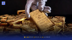 آخرین قیمت دلار، طلا و سکه؛ شبانگاه دوشنبه ۳۱شهریور/ عقب نشینی قیمت دلار هم زمان با سفر عراقچی به آمریکا