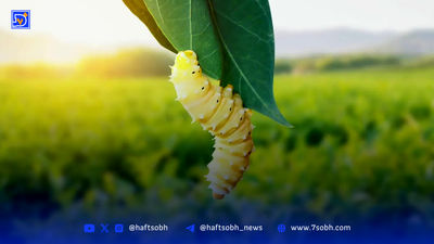 باج‌خواهی تعاونی‌ها از بانک‌ها