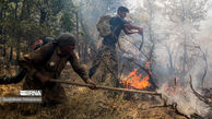 سوزاندن جنگل زاگرس برای توسعه باغات انجیر و انگور