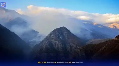 تصاویری وحشتناک از سوختن جنگل هیرکانی + فیلم