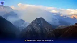 گروه‌های مردمی برای نجات جنگل الیت بسیج شدند