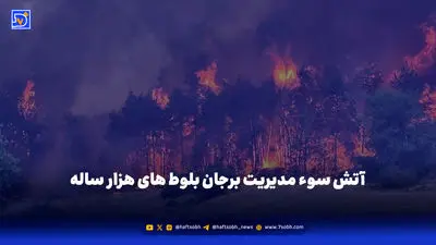 کدام کشورها بیشترین سهم را از جنگل‌های کره زمین دارند؟