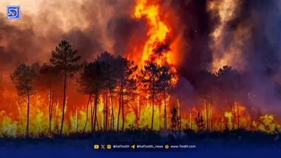 پشت دود یک حادثه، چوب‌بری را پنهان نکنید