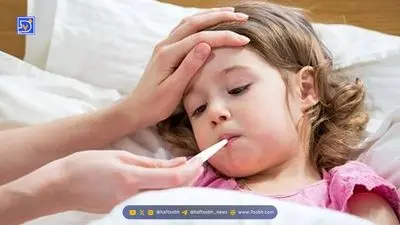 ژلاتین یا کلاژن‌‌‌ کدام برای سلامتی‌ و پوست بهتر است؟