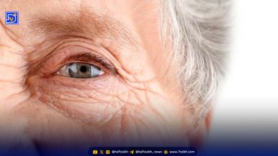 از کبدت محافظت کن؛ همه چیز درباره کبد چرب و راه‌های پیشگیری