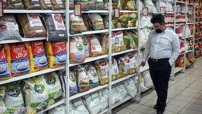 رقم پرداخت مطالبات گندمکاران چقدر است؟؛ گندمکاران حتما بخوانند 