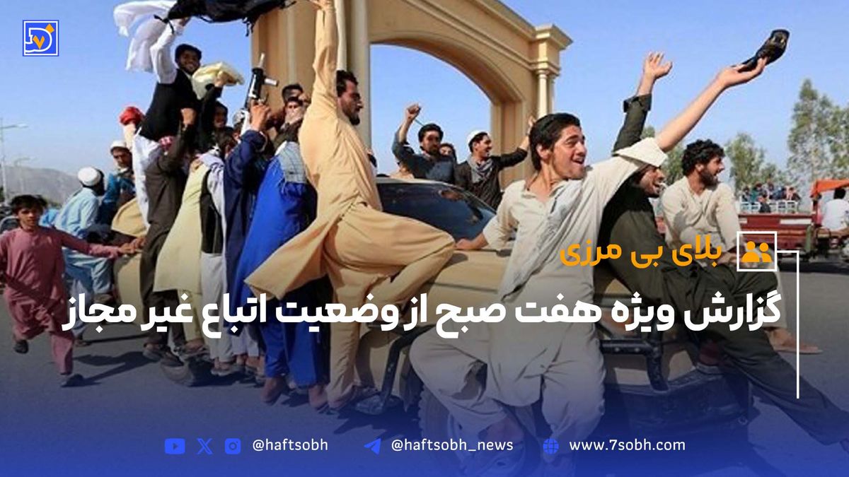 بلای بیمرزی | مکافات میزبانی بیقید و شرط