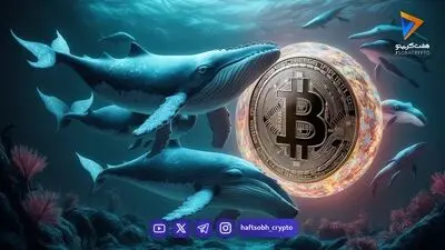 فهرست بزرگ‌ترین دارندگان دولتی بیت‌کوین در سال 2026