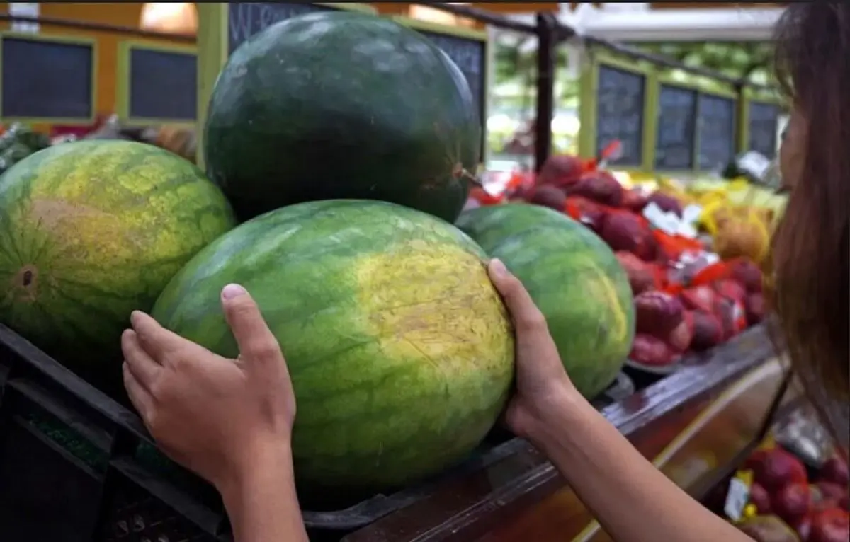 چطور هندوانه قرمز و شیرین انتخاب کنیم و از خرید هندوانه سفید خداحافظی کنیم (ببینید)