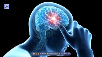 برای داشتن مغز جوان‌تر یک زبان جدید یاد بگیرید