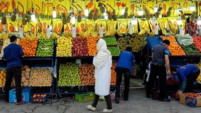 خونه‌تو به یه باغ میوه رویایی تبدیل کن؛ کاشت کدوم درختا مناسبه؟