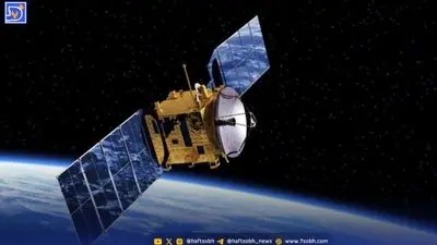 از چه زمانی چپ دست یا راست دست بودن ما تعیین می شود؟