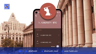 تی‌شرت جنجالی در دادگاه؛ شوخی یا اعتراف به پولشویی؟