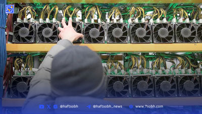 آشفتگی در بهشت دیجیتال
