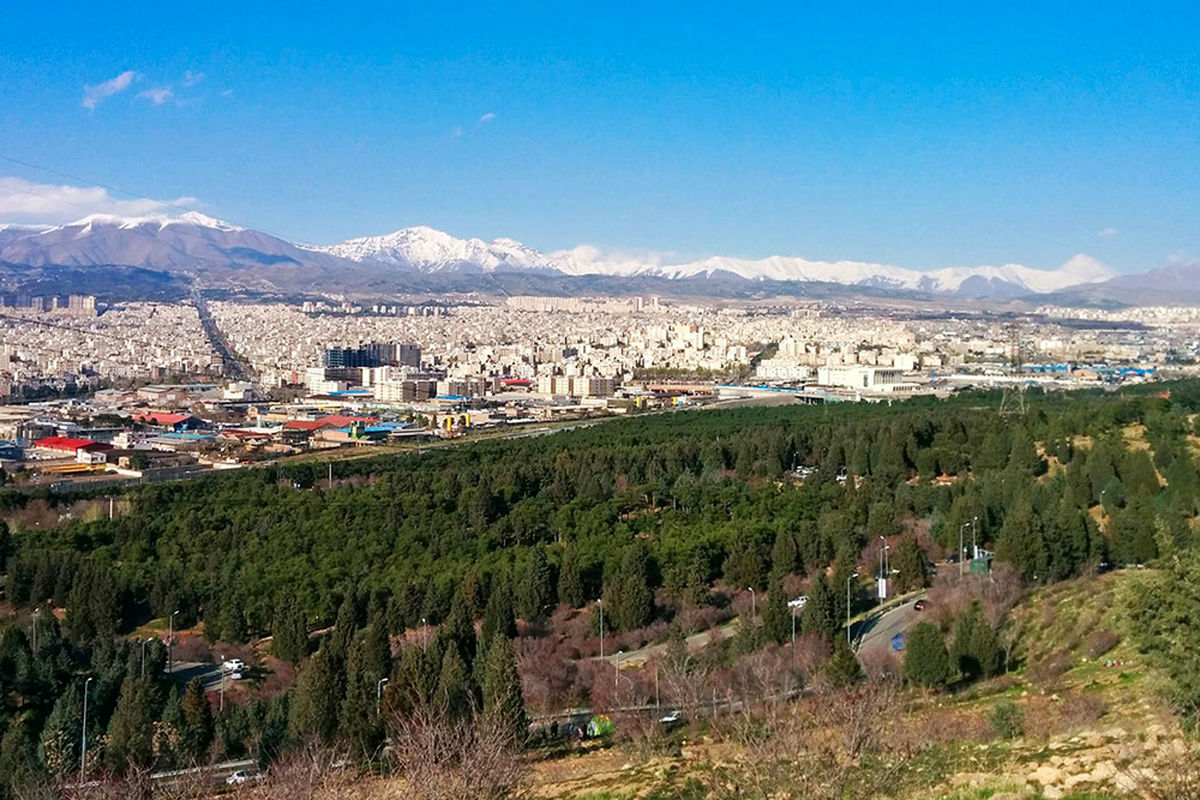خطر سوسکهای چوبخوار برای بوستان سرخهحصار
