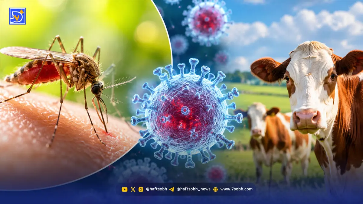 از ویروس مرگبار شاموندا ‌چه می‌دانید؟