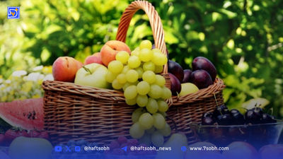 روش نوین نور فروسرخ برای نابودی سلول‌های سرطانی