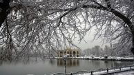 تبریزی ها با برف به استقبال پاییز رفتند