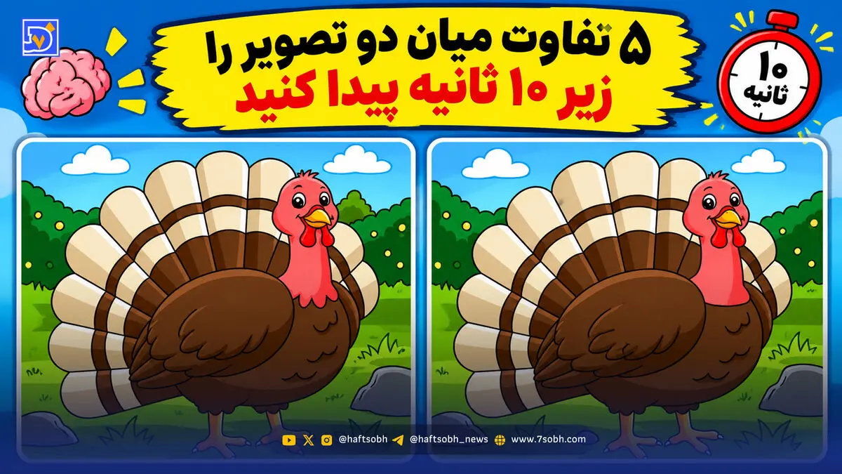 معما؛ آیا می توانید 5 تفاوت میان دو تصویر را زیر 10 ثانیه پیدا کنید؟