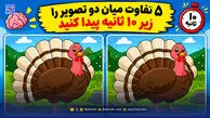 معما؛ آیا می توانید 5 تفاوت میان دو تصویر را زیر 10 ثانیه پیدا کنید؟