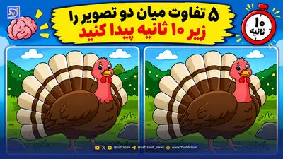 معما؛ آیا می توانید در کمتر از 25 ثانیه حدس بزنید کدام یک از افراد زیر چپ دست است؟