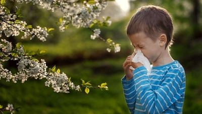 تصادف کودک پشت فرمان؛ حادثه‌ای عجیب در کاشان (ویدیو)