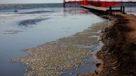 تراز آب دریای خزر به کمترین میزان در قرن اخیر رسید